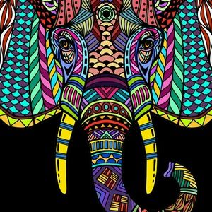 Meet your Posher, Payton